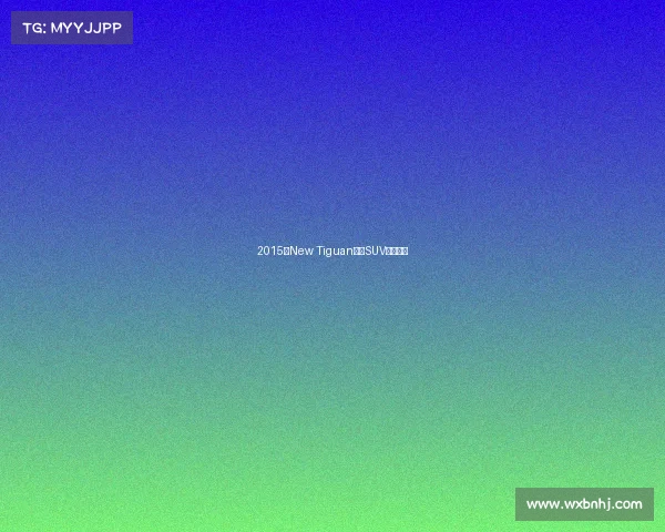 2015款New Tiguan创领SUV冠军品质