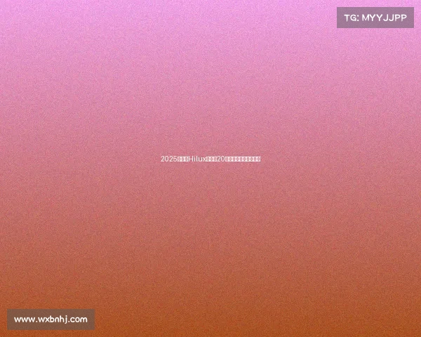 2025款丰田Hilux上市,20万买单排皮卡你认可吗